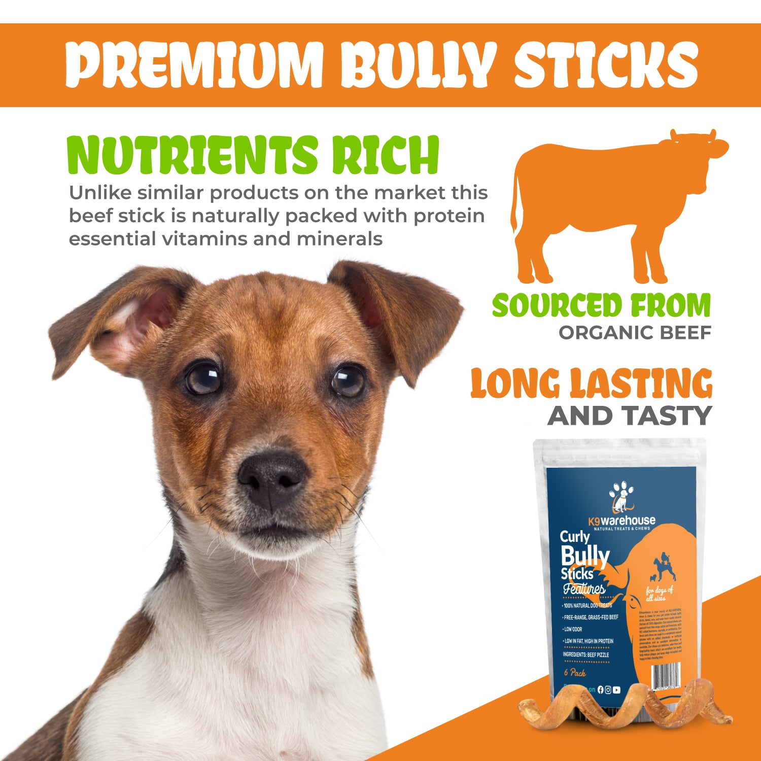 Bully Stick Springs Curly - 6 Pack - Bully Stick Springs Curly - 6 Pack - K9warehouse.com