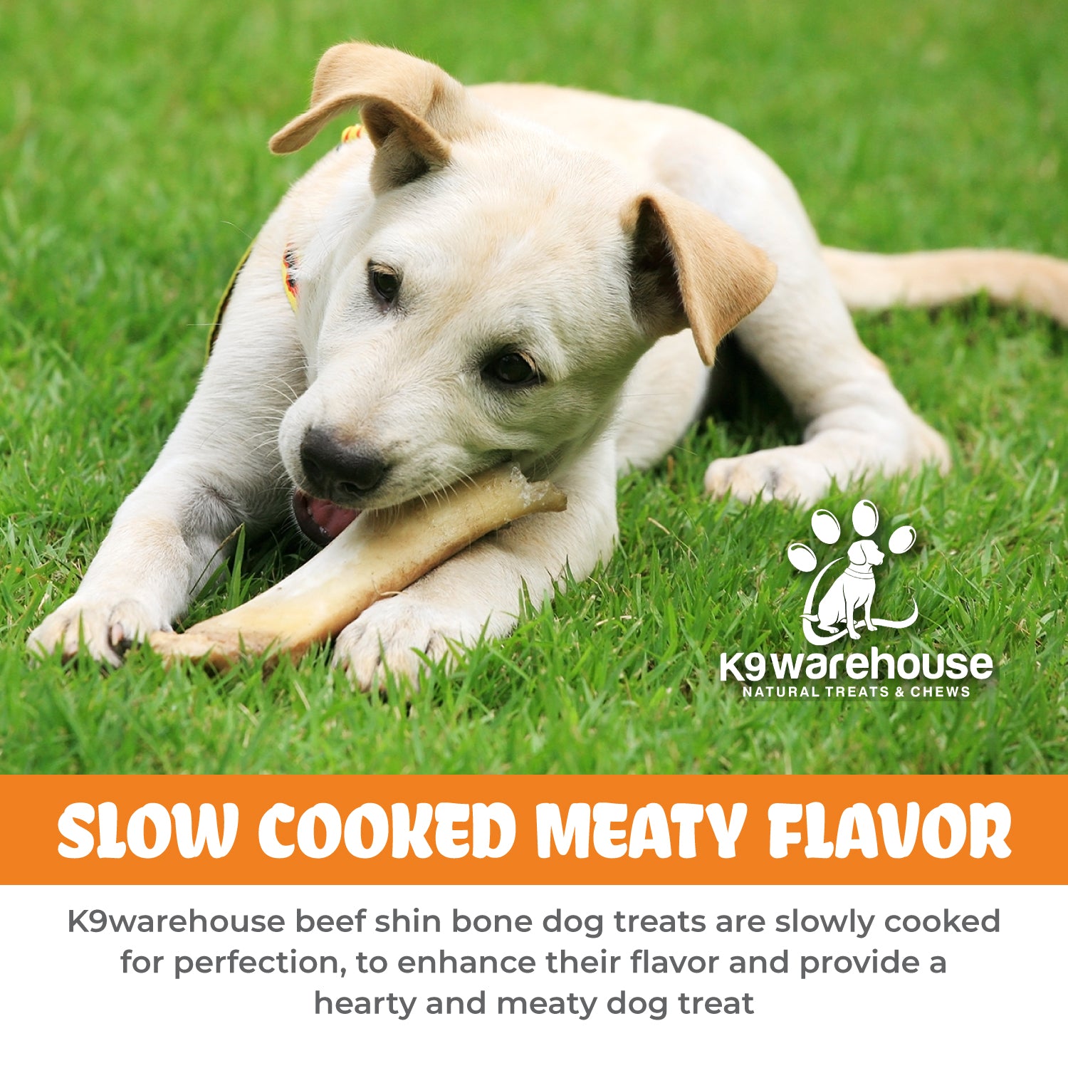 K9warehouse Shin Bone Dog Chews - 8 inch - K9warehouse.com