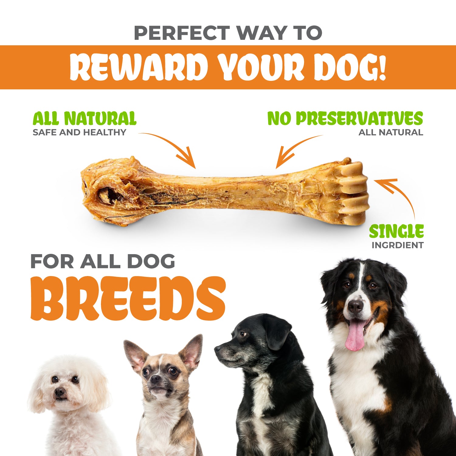 K9warehouse Shin Bone Dog Chews - 8 inch - K9warehouse.com