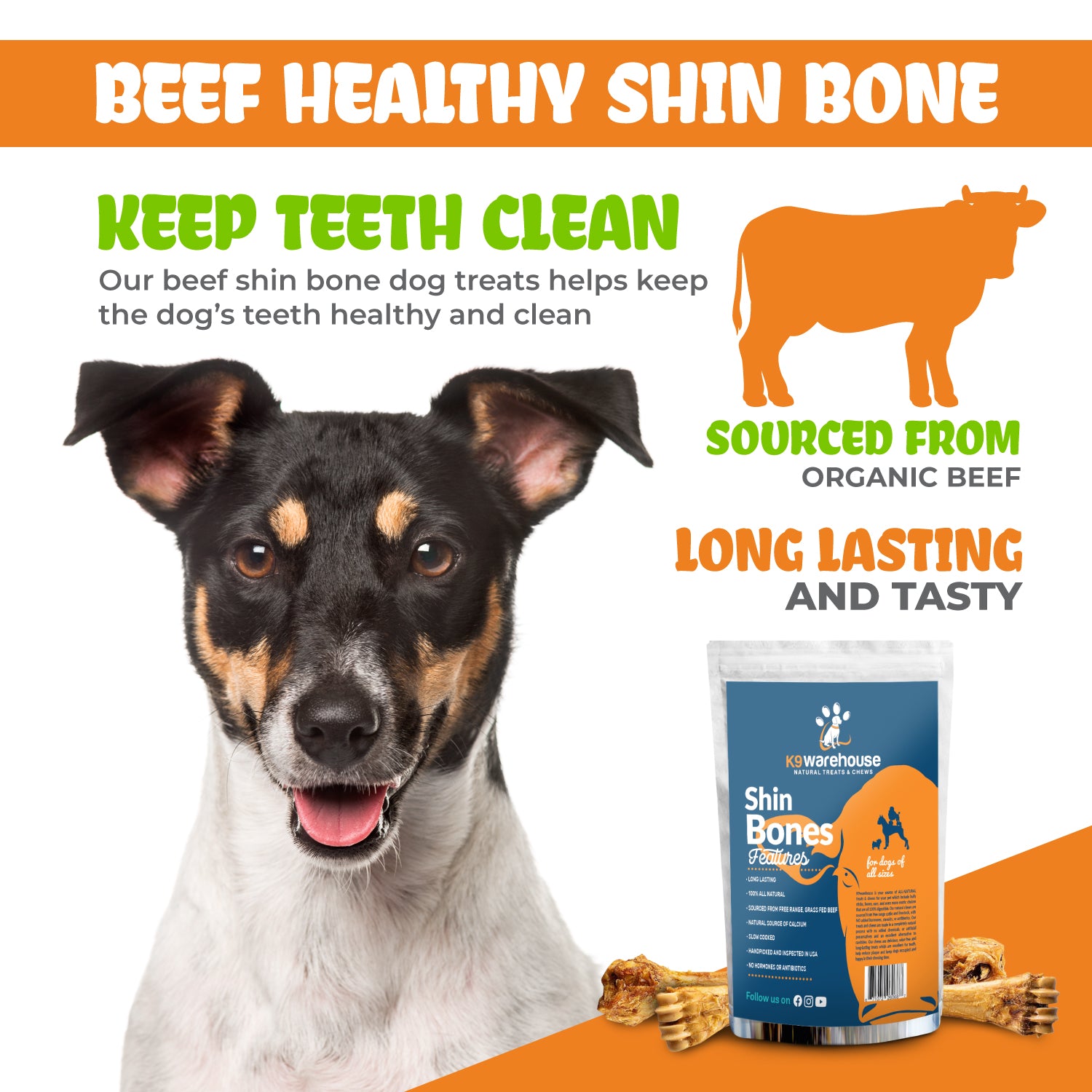 K9warehouse Shin Bone Dog Chews - 8 inch - K9warehouse.com