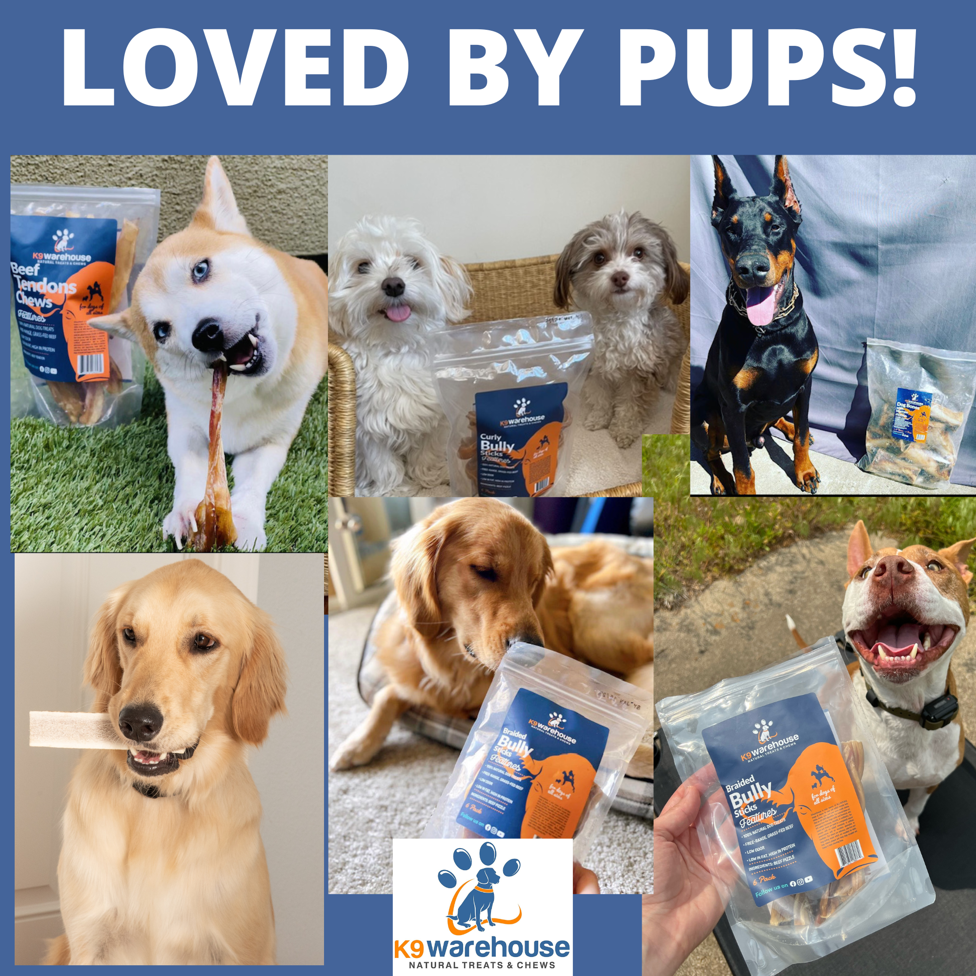 K9 warehouse deals