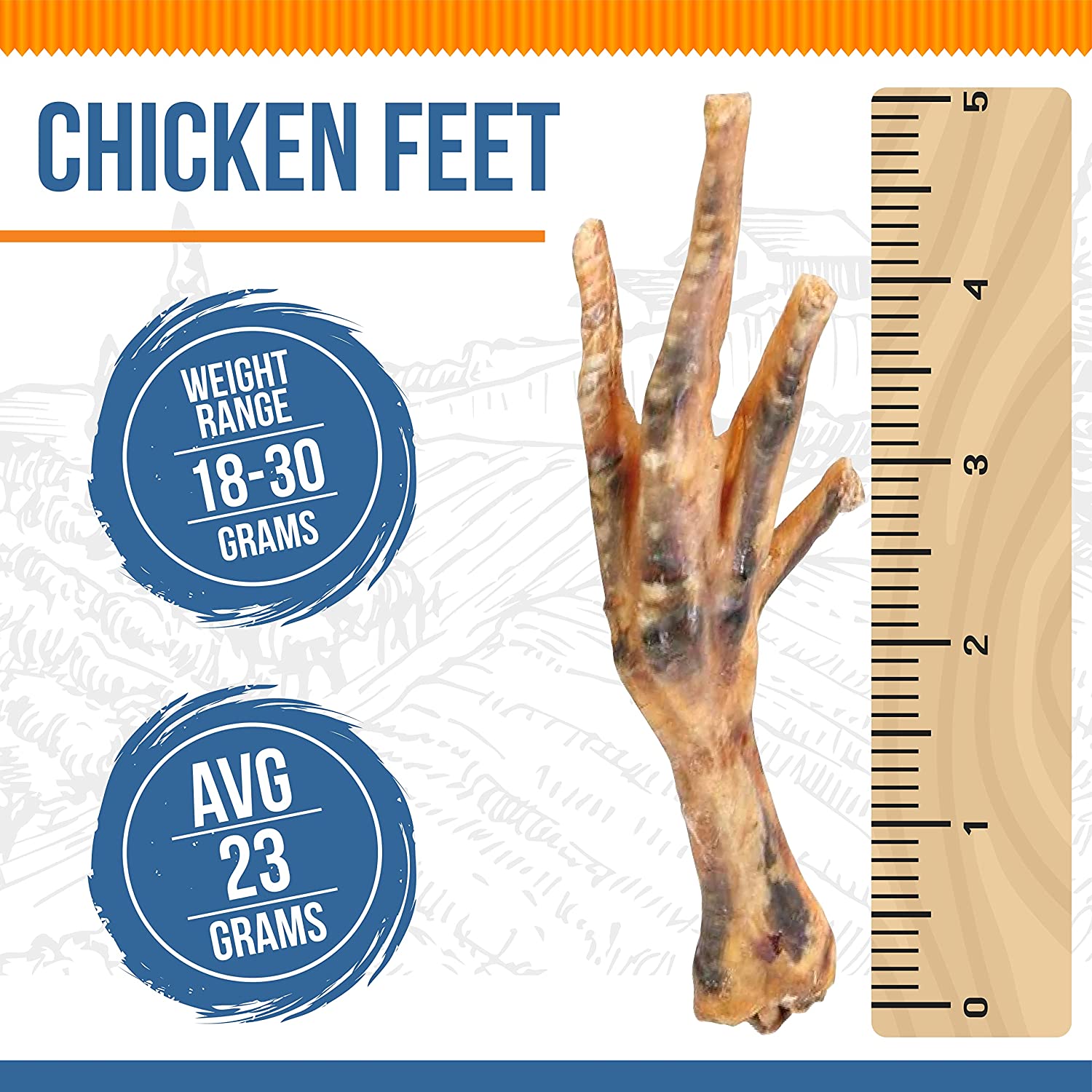 Chicken Feet - 6 and 12 Count - Chicken Feet - 6 and 12 Count - K9warehouse.com
