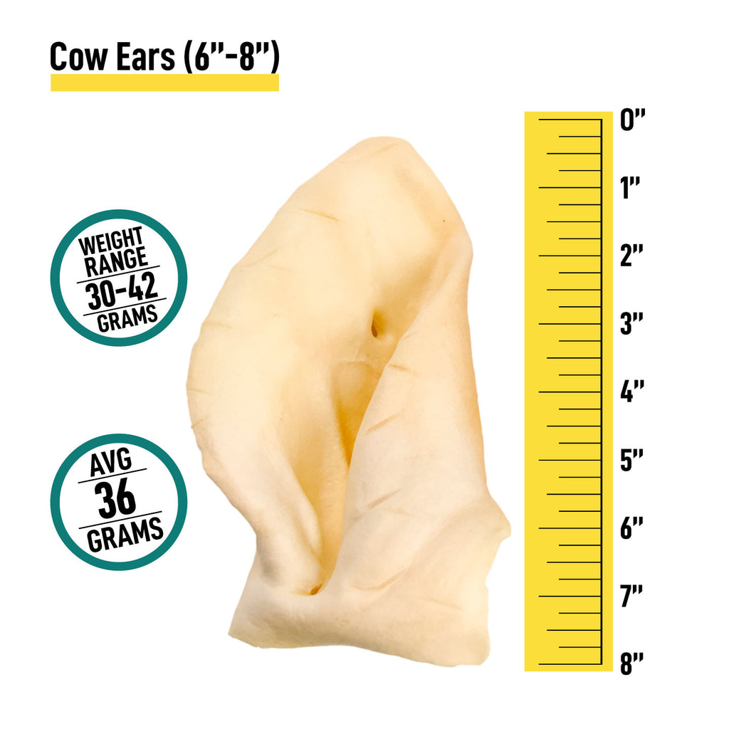 Cow Ears  - 8 Count - Cow Ears  - 8 Count - K9warehouse.com