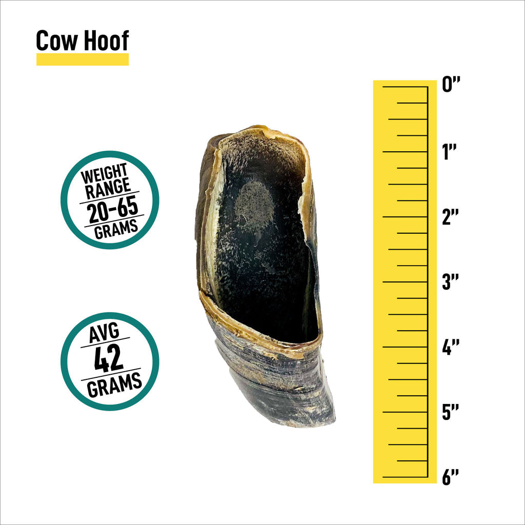 Cow Hooves - 6 and 12 Count - K9warehouse.com