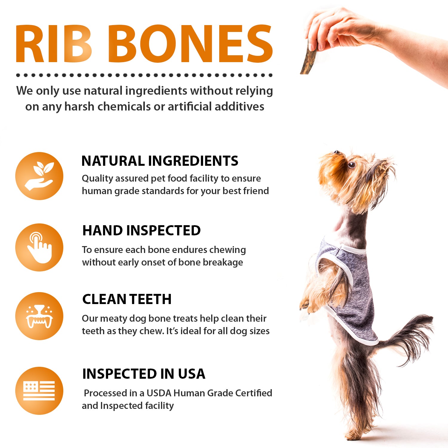 Beef Rib Bones - 8 Pack - Beef Rib Bones - 8 Pack - K9warehouse.com