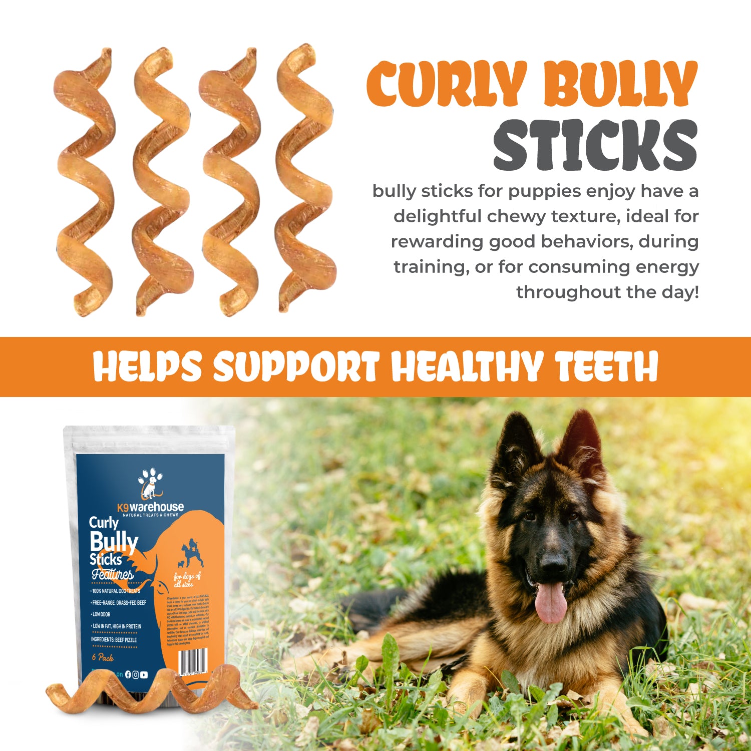 Bully Stick Springs Curly - 6 Pack - K9warehouse.com