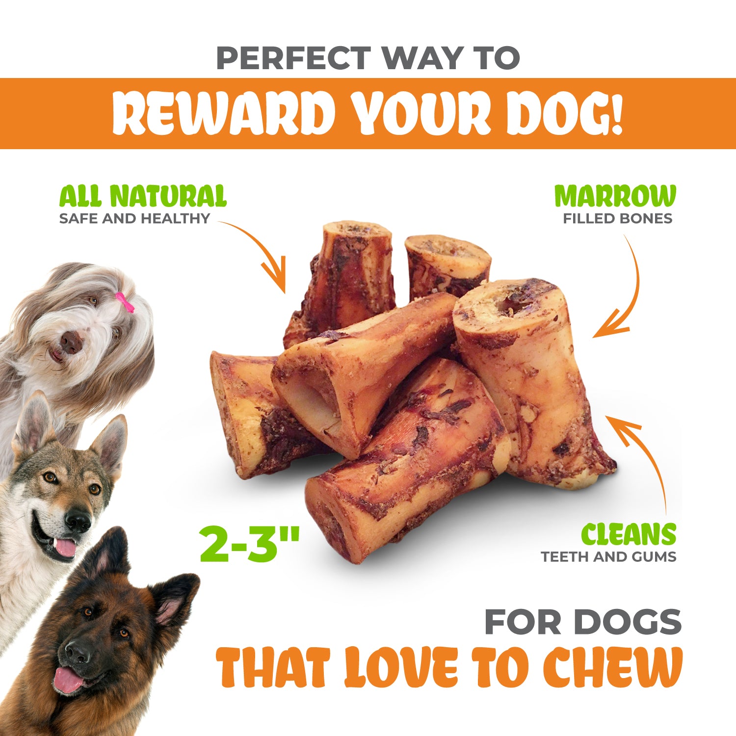 Chews Best Raw Bones For Dogs Dog Bones White Stuffed Marrow Bones