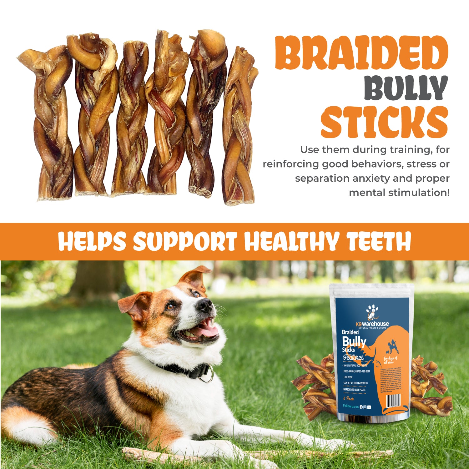 K9warehouse Braided Bully Sticks - 6 Pack - K9warehouse.com