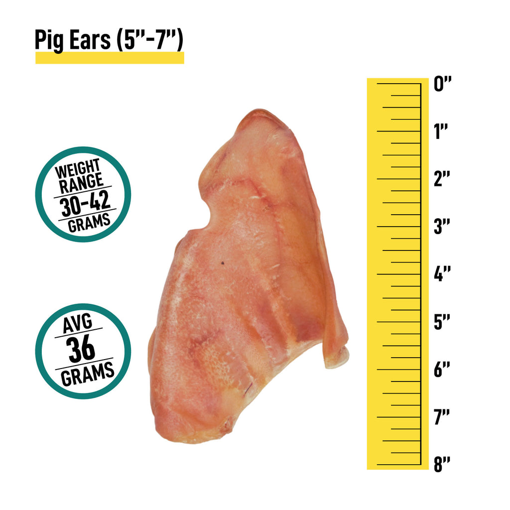 Pig Ears - 6 Count - Pig Ears - 6 Count - K9warehouse.com